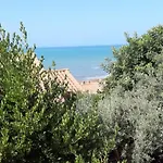 Il Ulivo