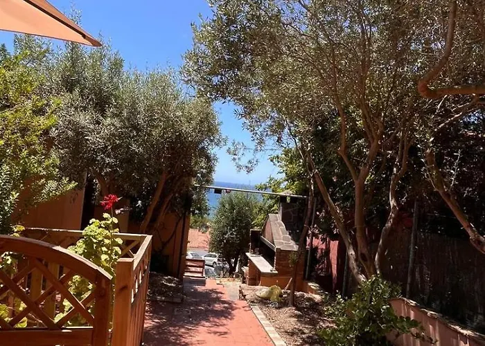 Vakantiehuis Il Ulivo